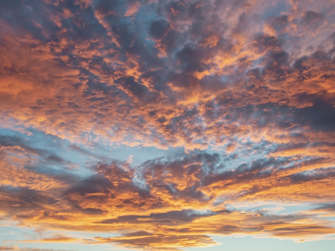 Густые темные облака в небе