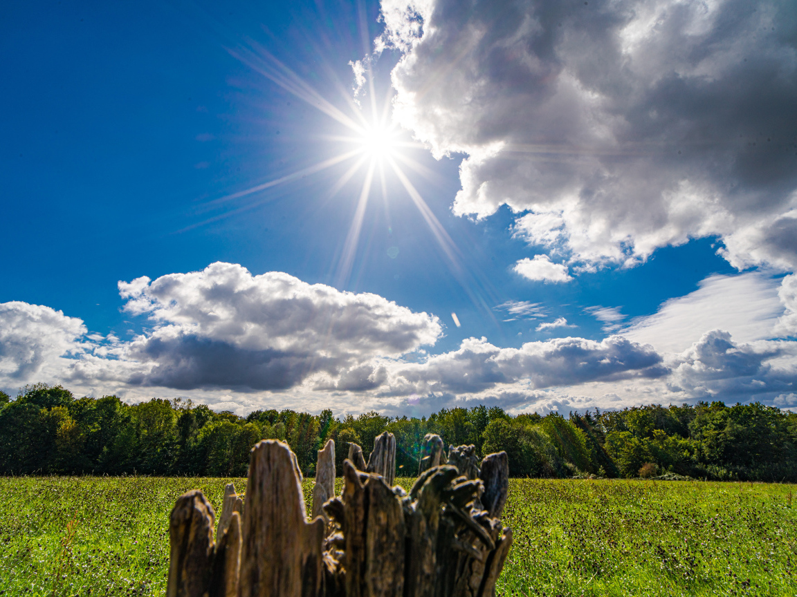 Солнце в голубом небе с белыми облаками над полем