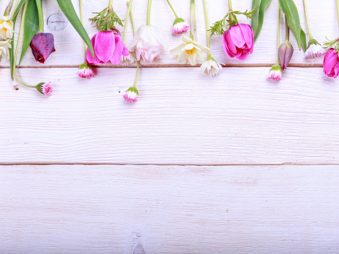 Красивые разноцветные весенние цветы на деревянном фоне