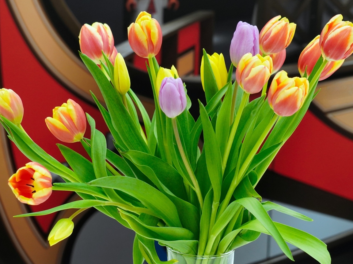 Букет красивых разноцветных тюльпанов в стеклянной вазе