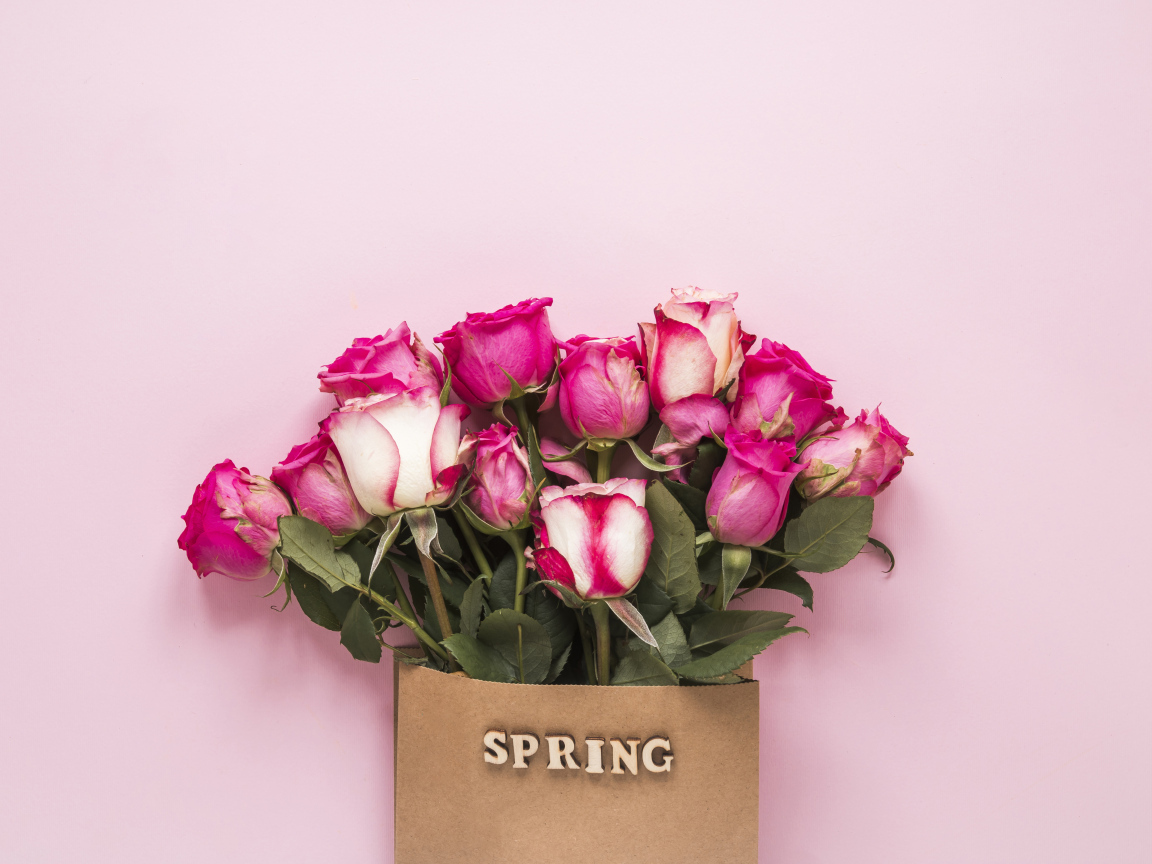 Букет роз в бумажном пакете на розовом фоне весной