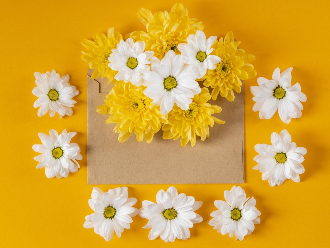 Конверт с желтыми и белыми хризантемами на желтом фоне