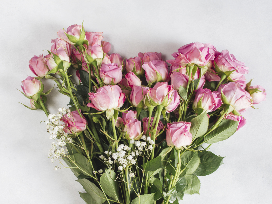 Большой букет розовых роз на сером фоне