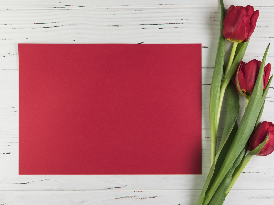 Красный лист бумаги с тюльпанами для шаблона поздравительной открытки