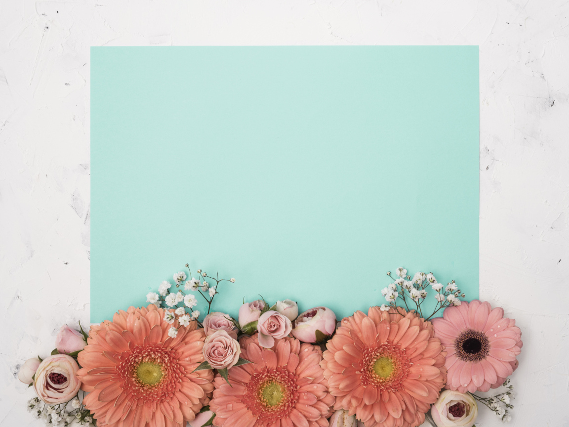 Лист голубой бумаги для фона с цветами розы и герберы