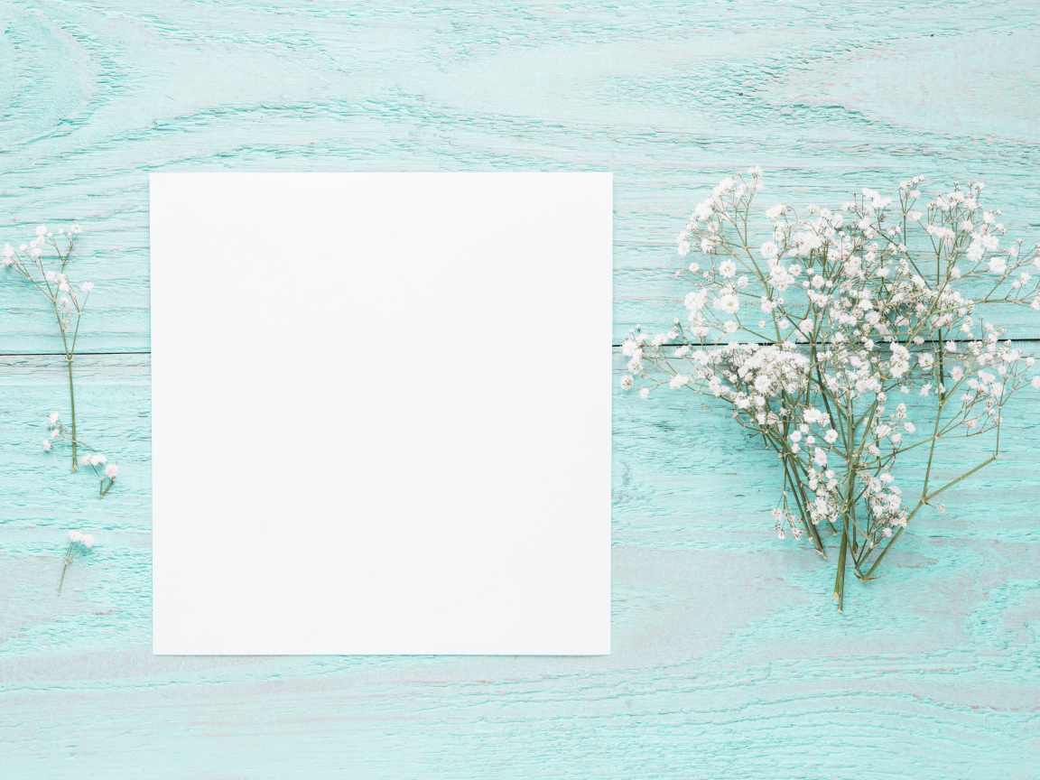 Лист бумаги с белыми цветами гипсофилы на голубом столе
