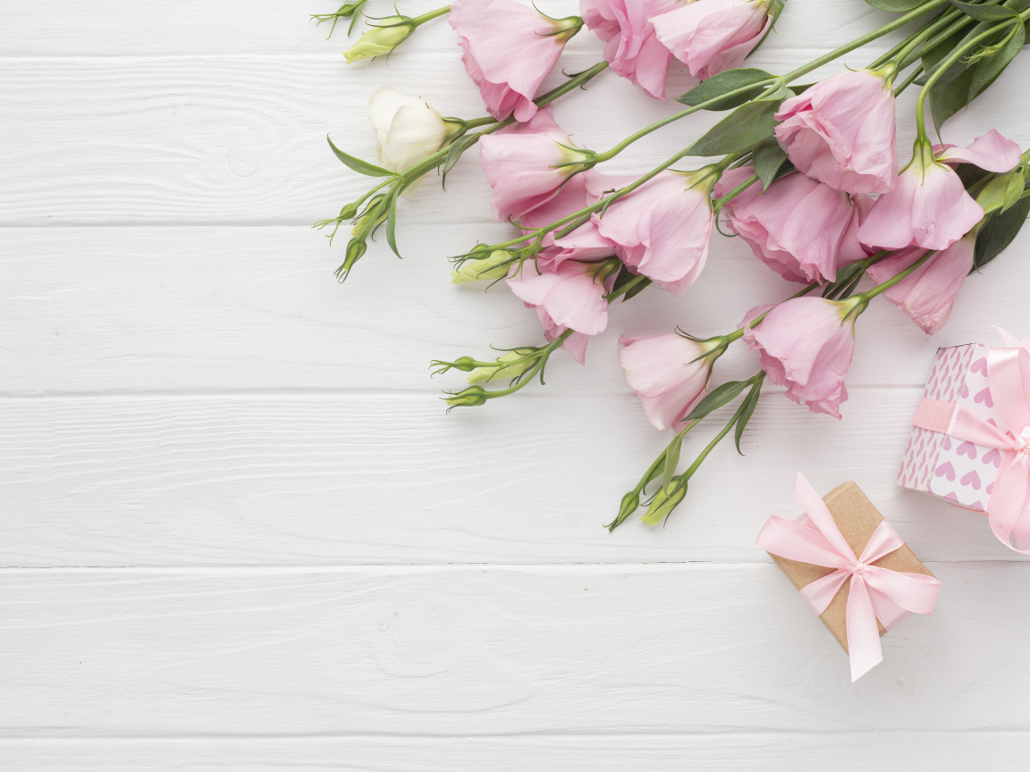 Нежна розовая эустома с подарками на белом фоне