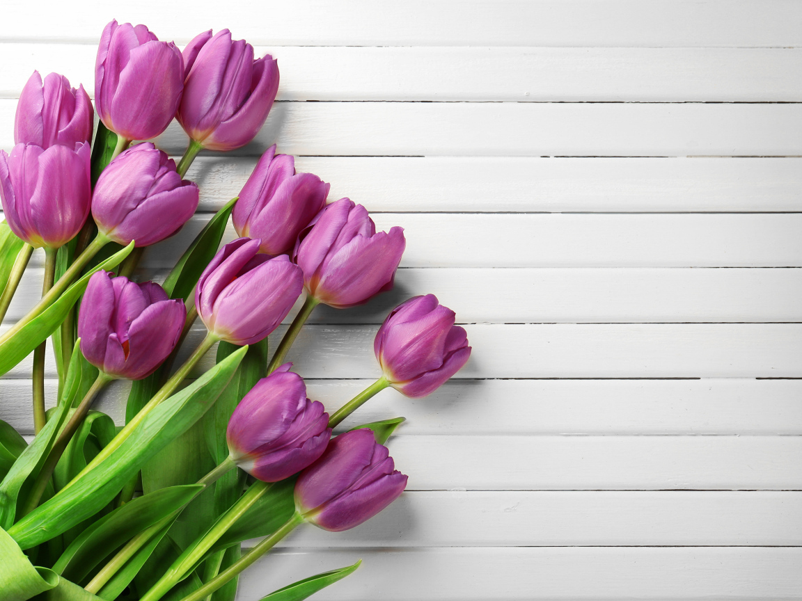 Тюльпаны на белом деревянном фоне