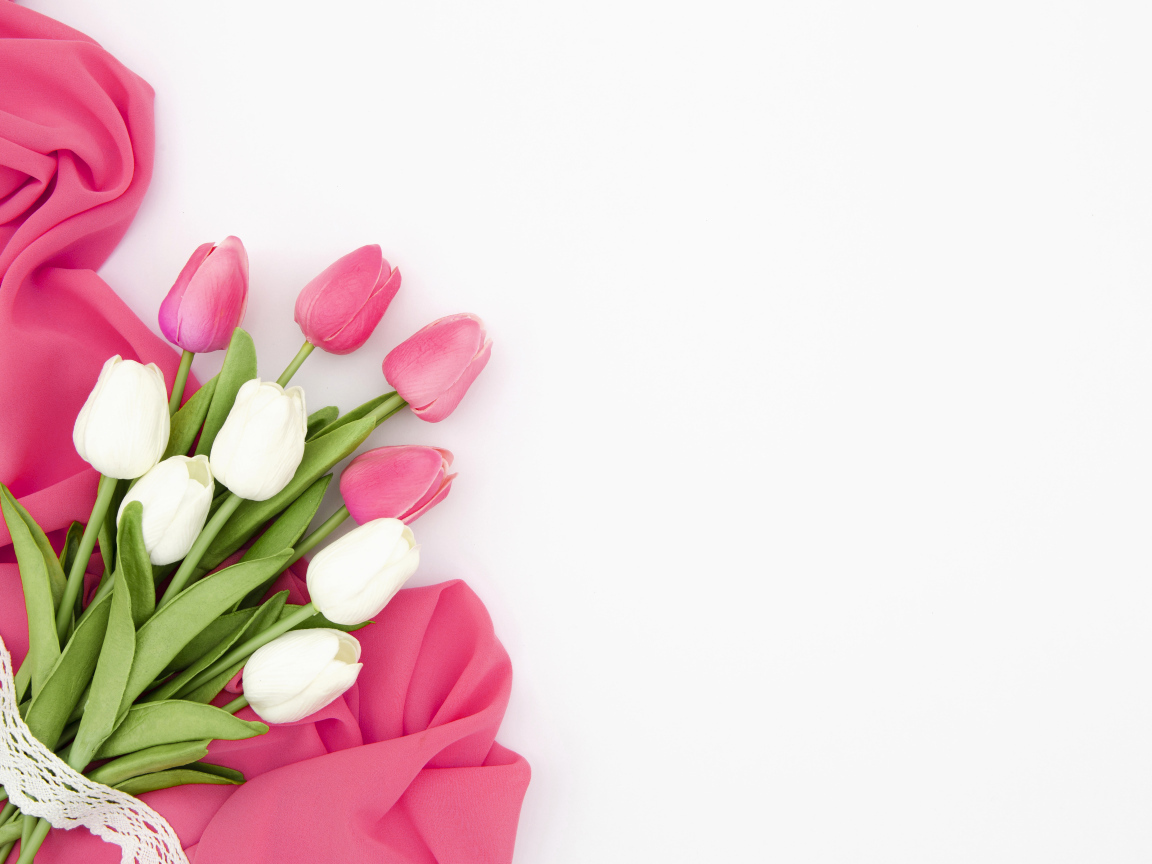 Белые и розовые тюльпаны с тканью на белом фоне, шаблон 