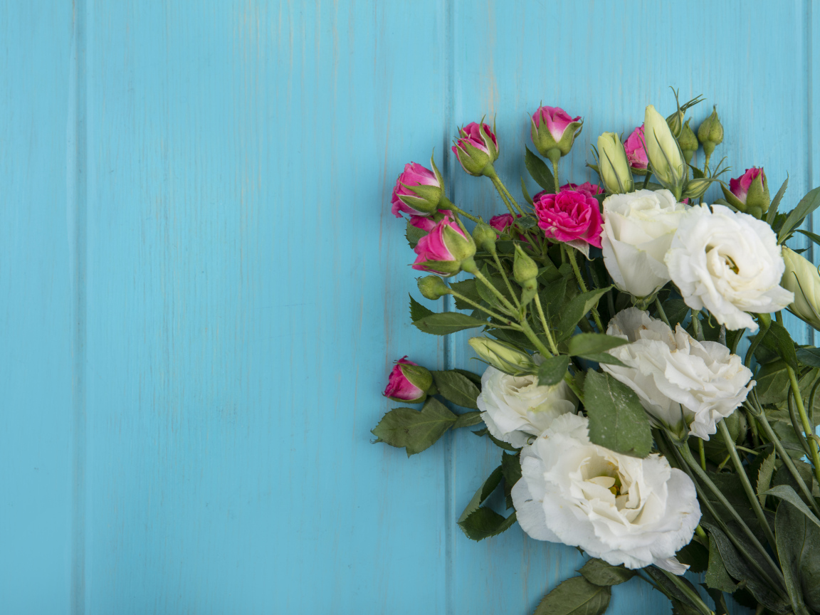 Белые цветы эустомы с розовыми розами на голубом фоне