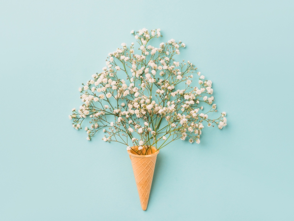 Белые цветы с вафельным рожком на голубом фоне