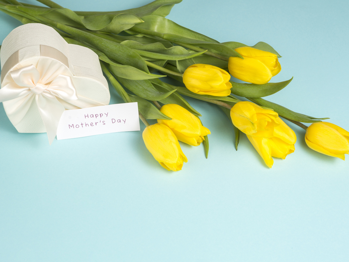 Желтые тюльпаны с подарком на голубом фоне на день матери
