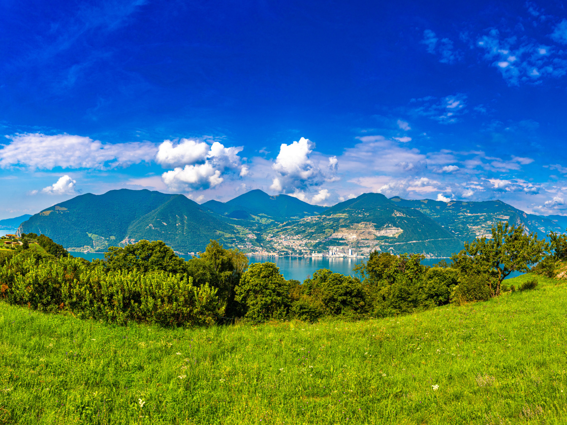 Красивая панорама на горы и зеленую траву