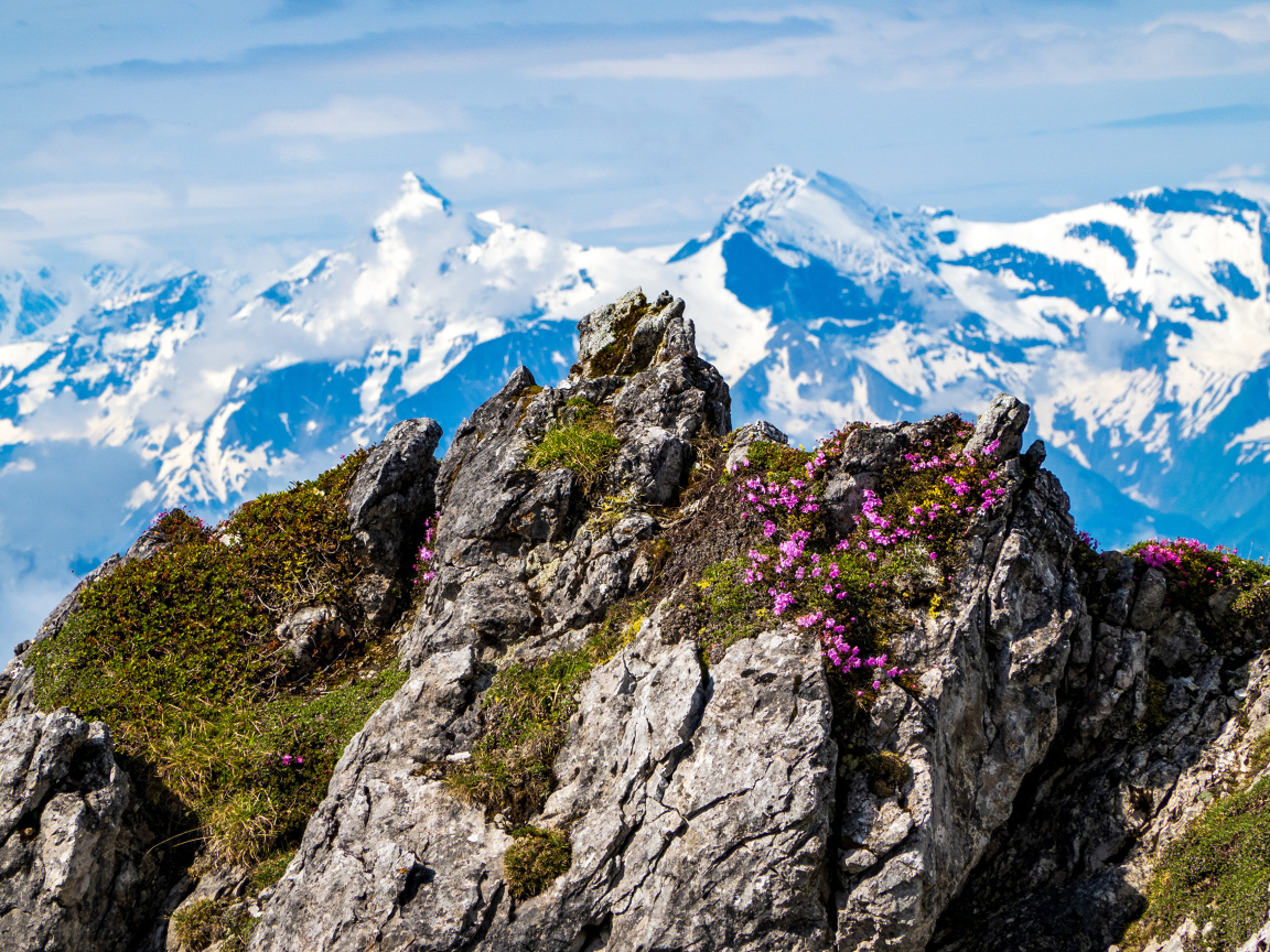 Красивый вид на высокие Австрийские Альпы