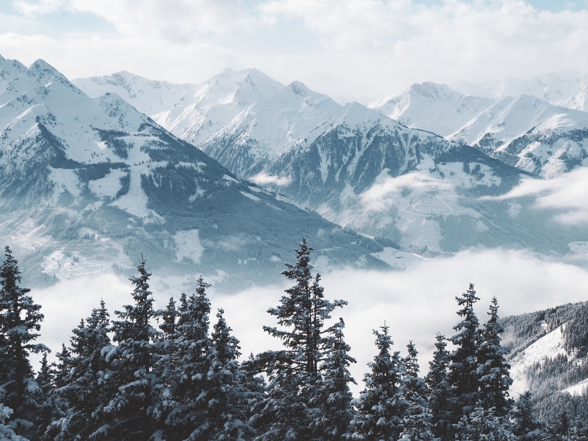 Вид на высокие заснеженные горы и лес