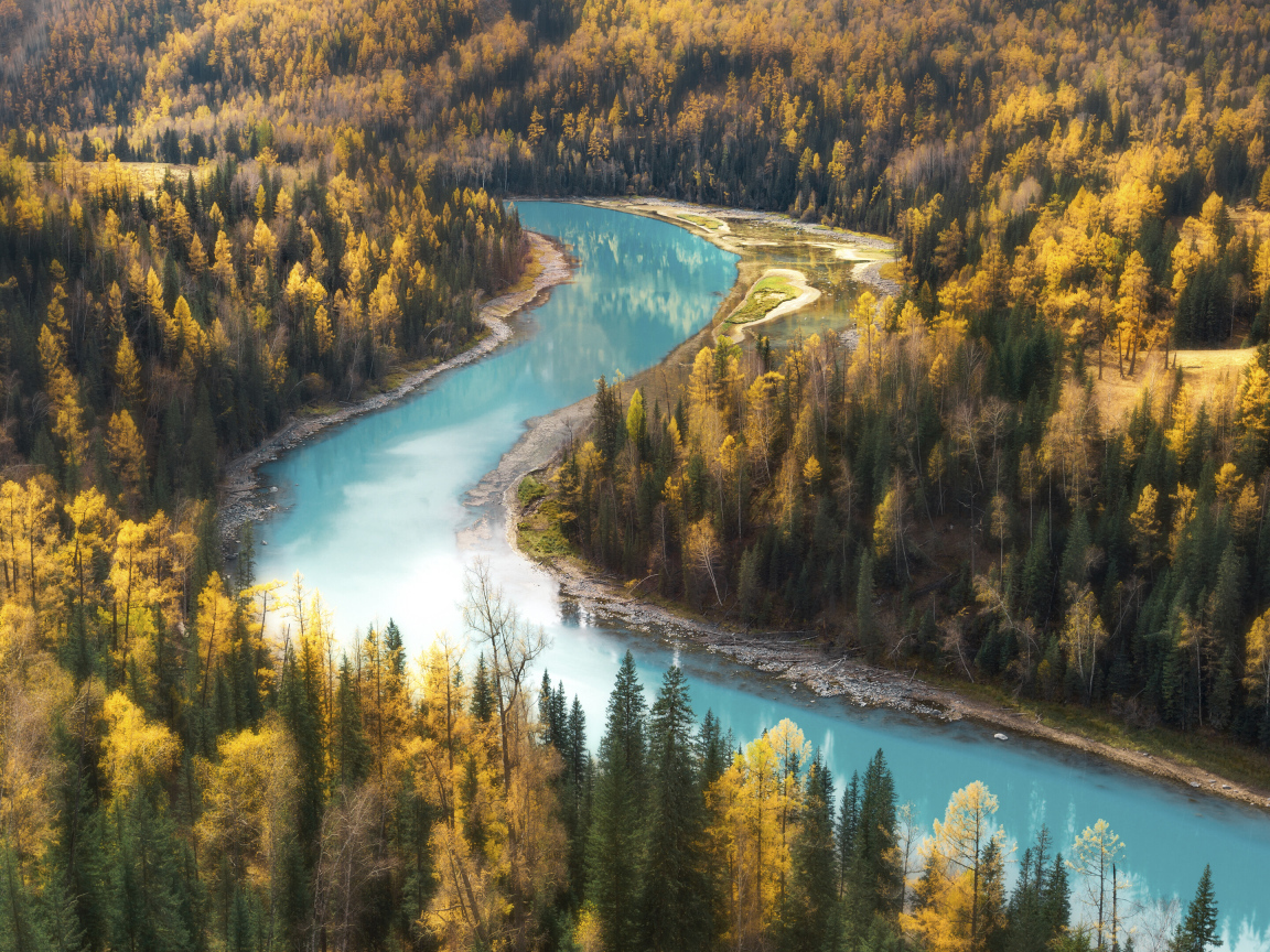 Голубая вода в реке у осеннего леса