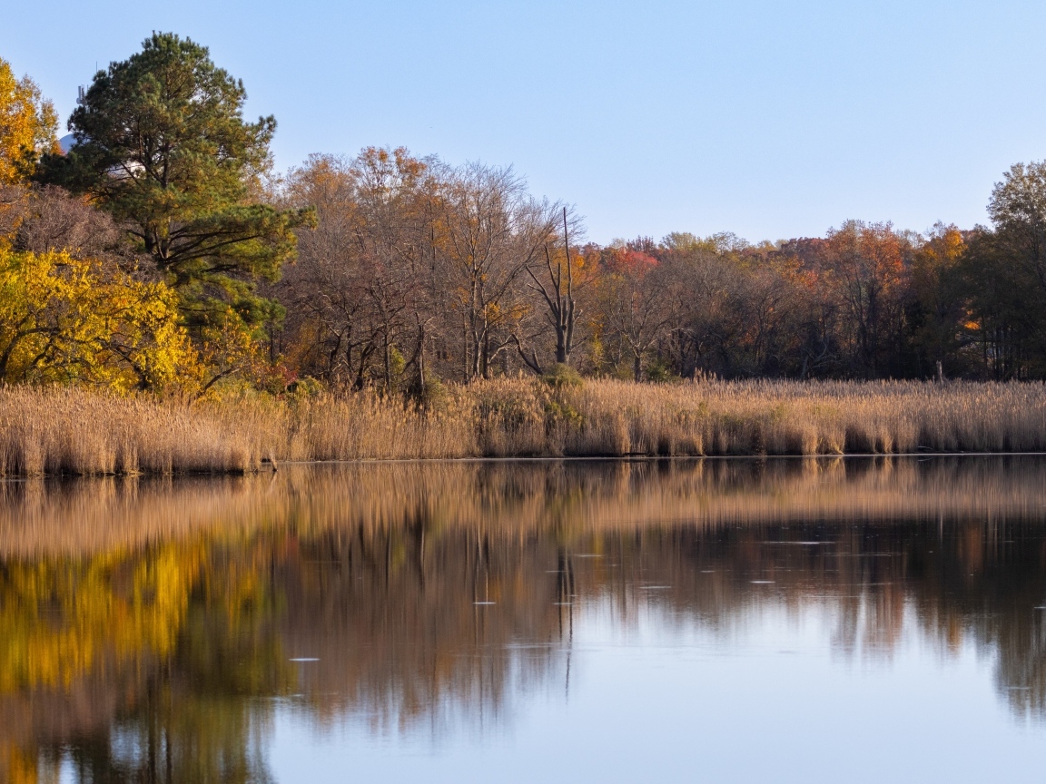 Спокойное озеро в лесу осенью 