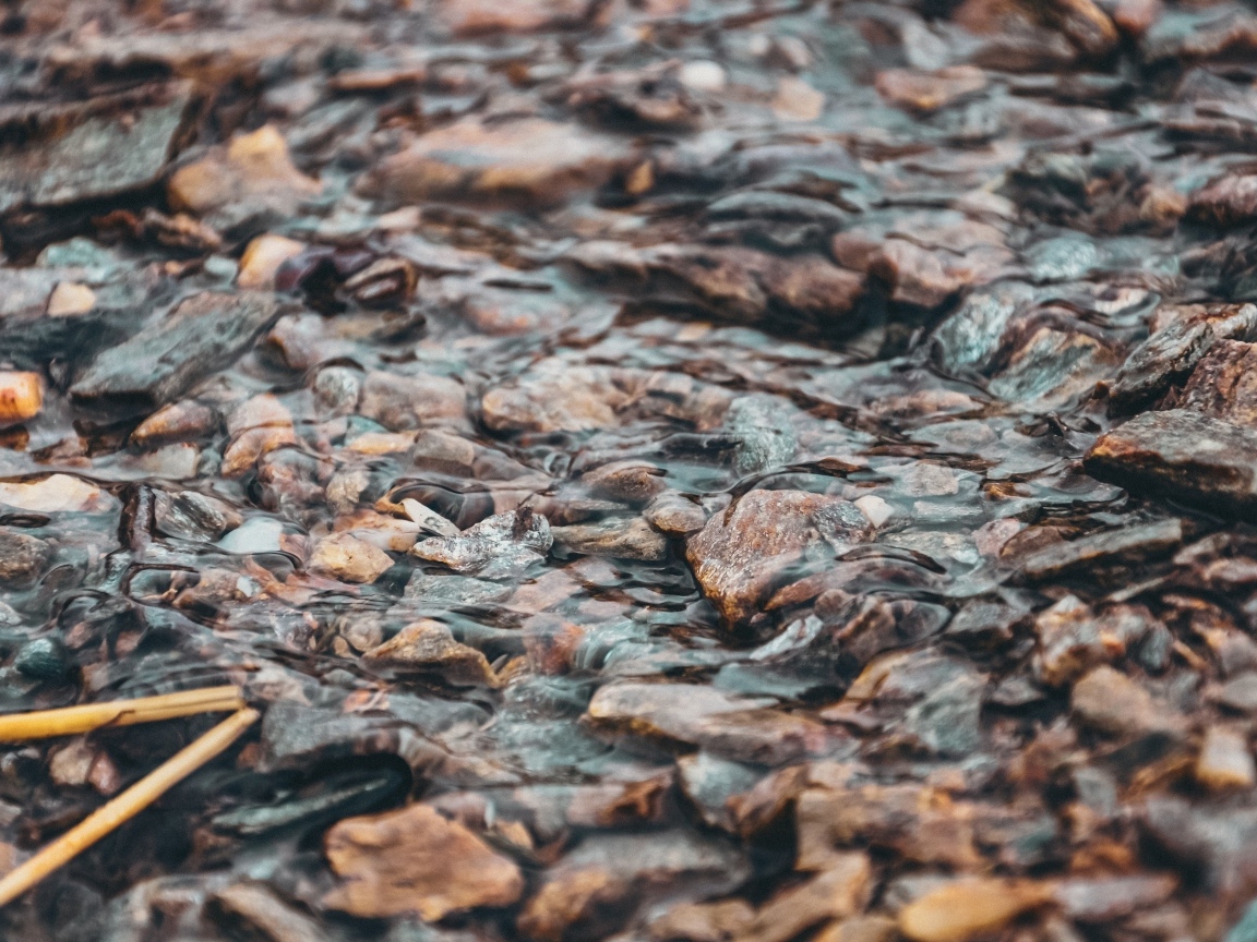 Мелкая река с камнями