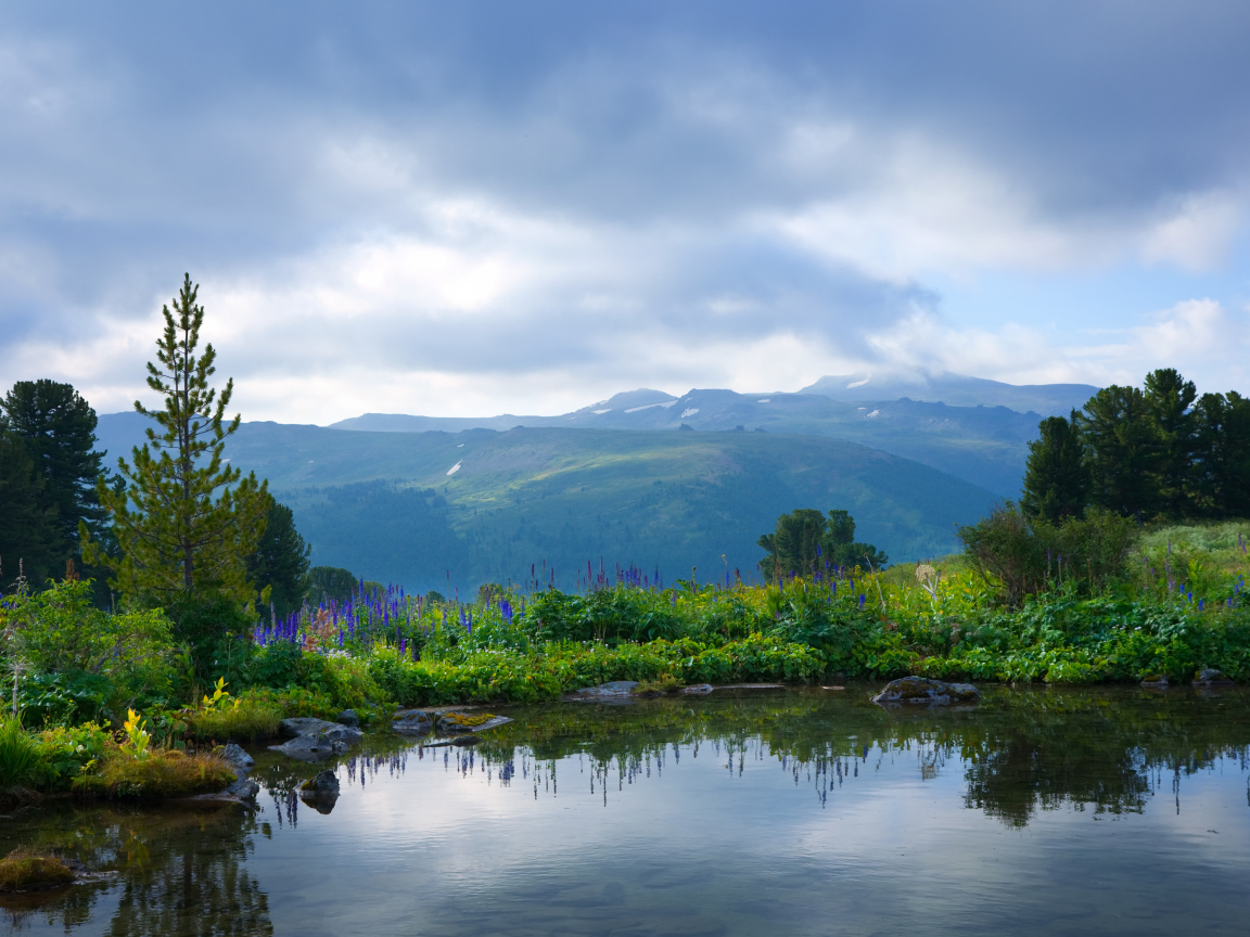 Вид на тихое озеро с покрытыми зеленой травой берегами на фоне гор