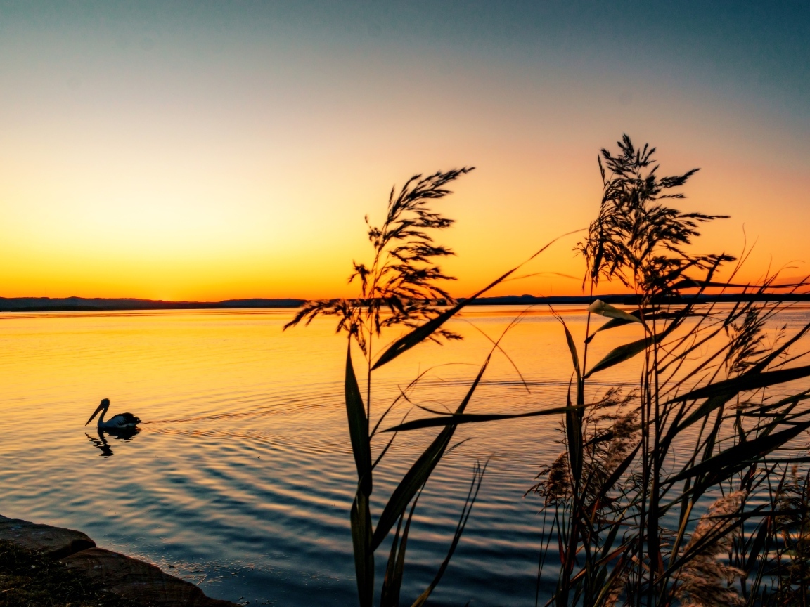 Тихий закат солнца над озером
