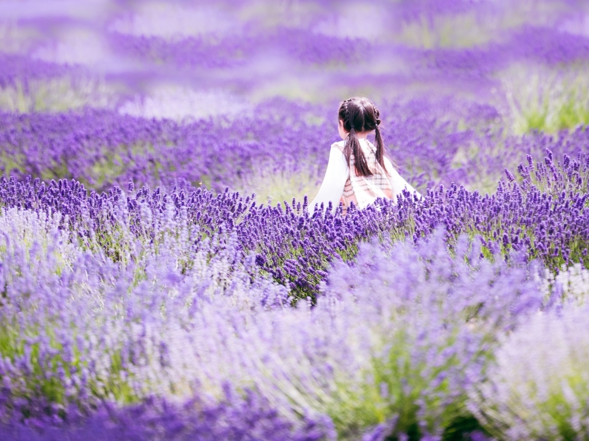 Маленькая девочка гуляет по лавандовому полю