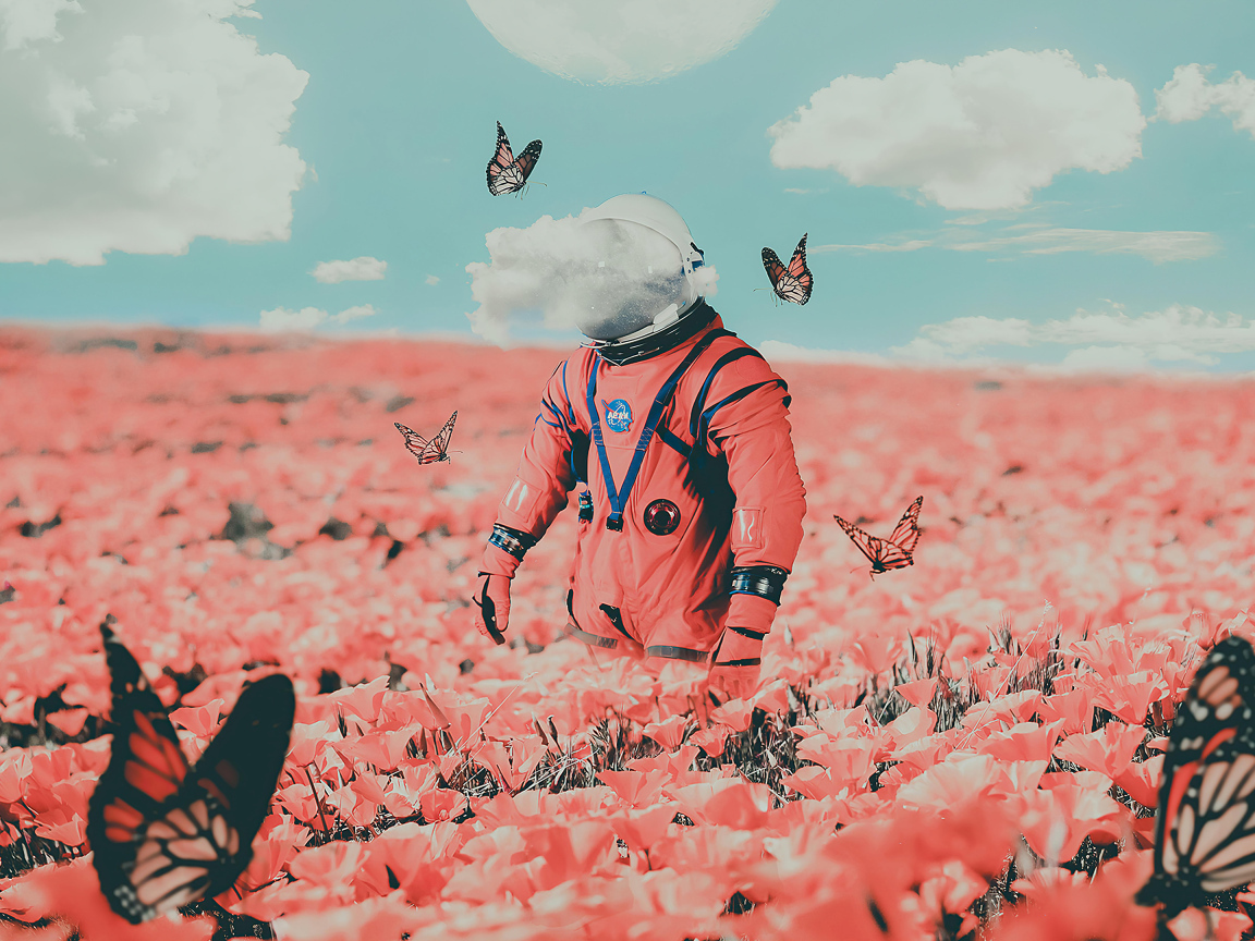 Астронавт на поле с красными маками и бабочками