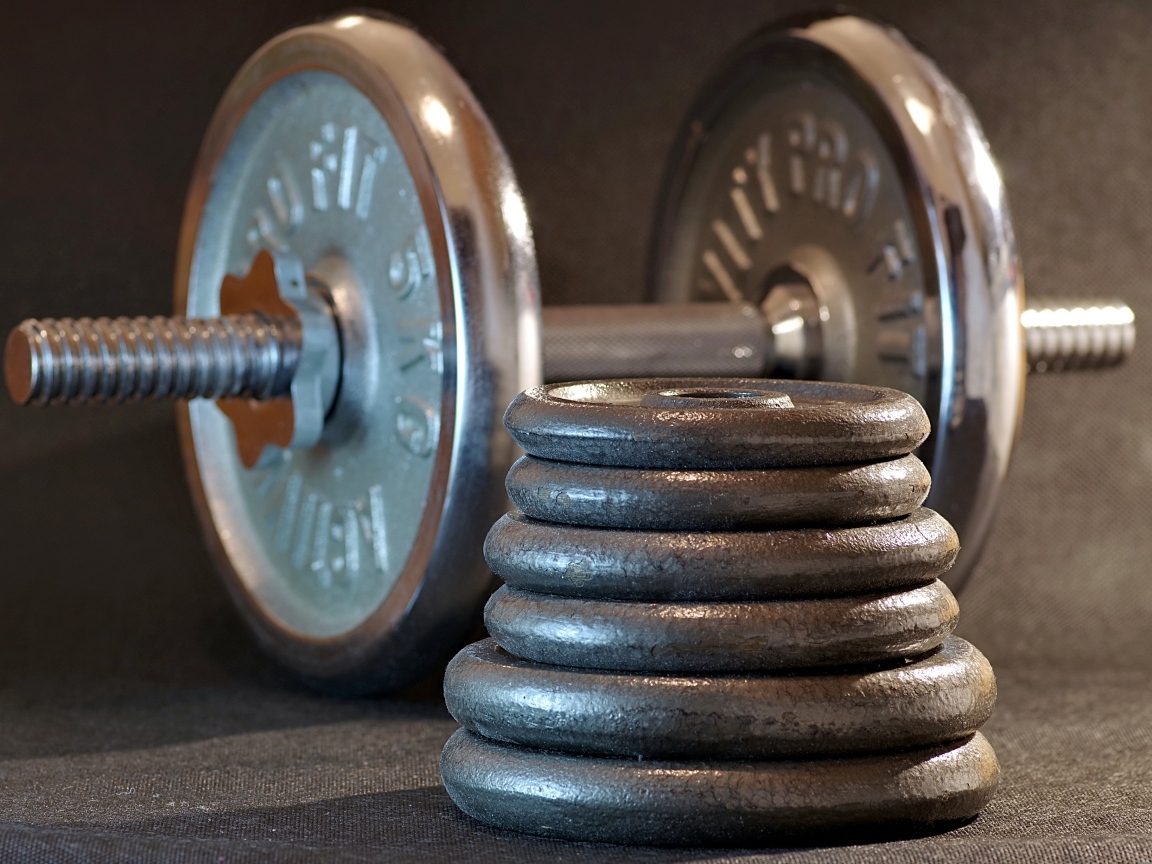 Гантеля с тяжелыми дисками