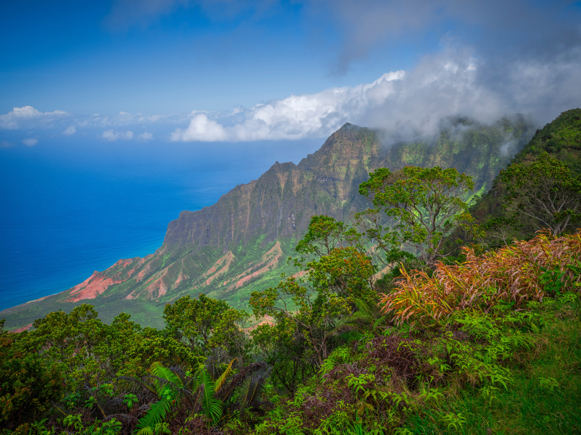 Покрытые зеленью горы на Гавайских островах, США