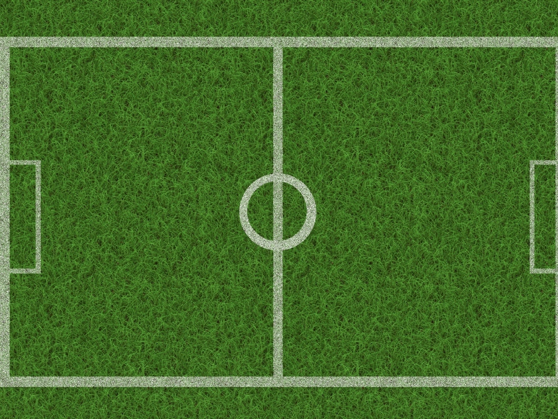 Поле расчерчено белыми линиями на зеленой траве