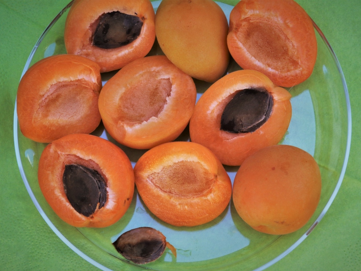 Абрикосы половинками на тарелке