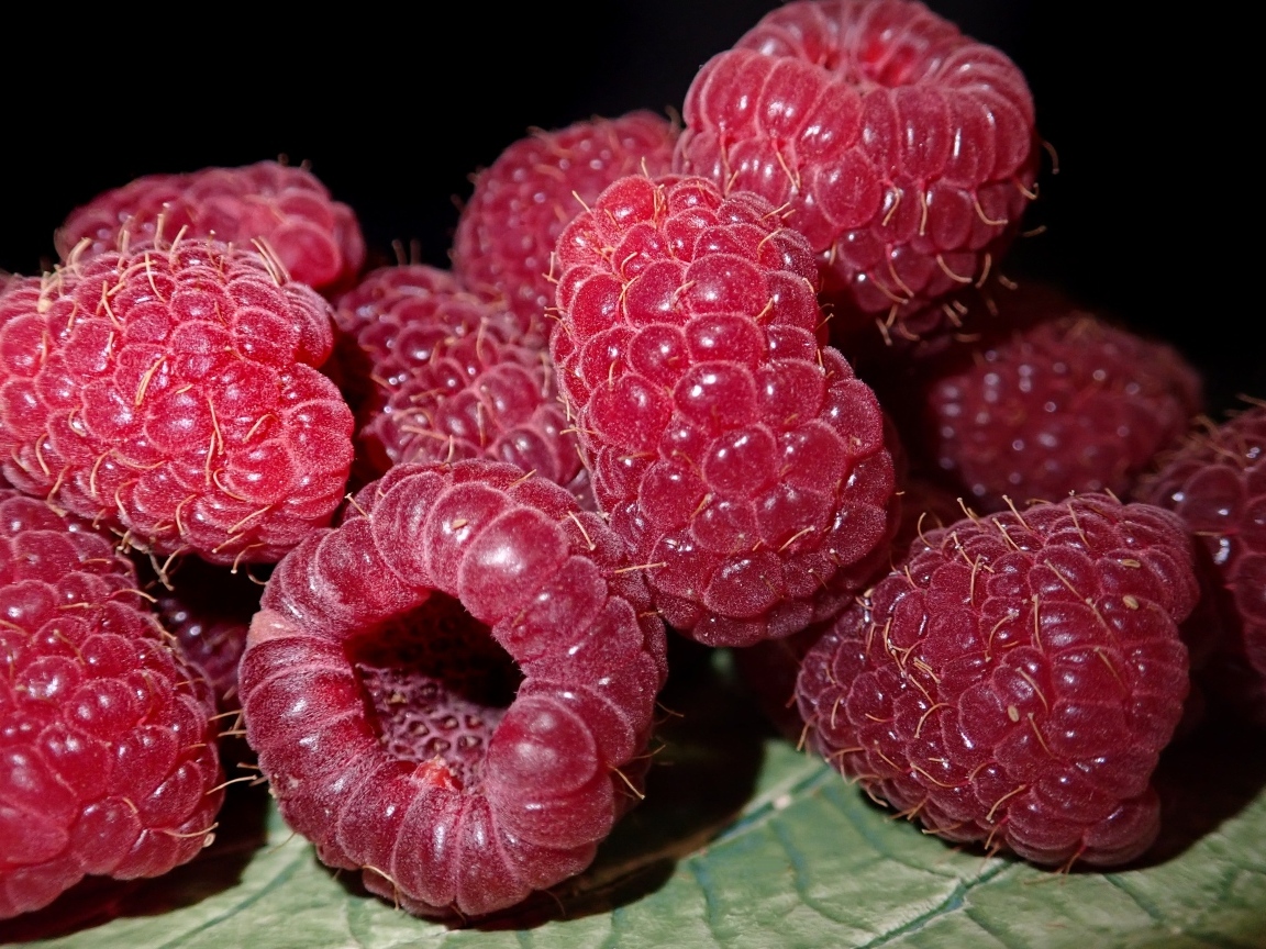 Крупная сочная красная малина 