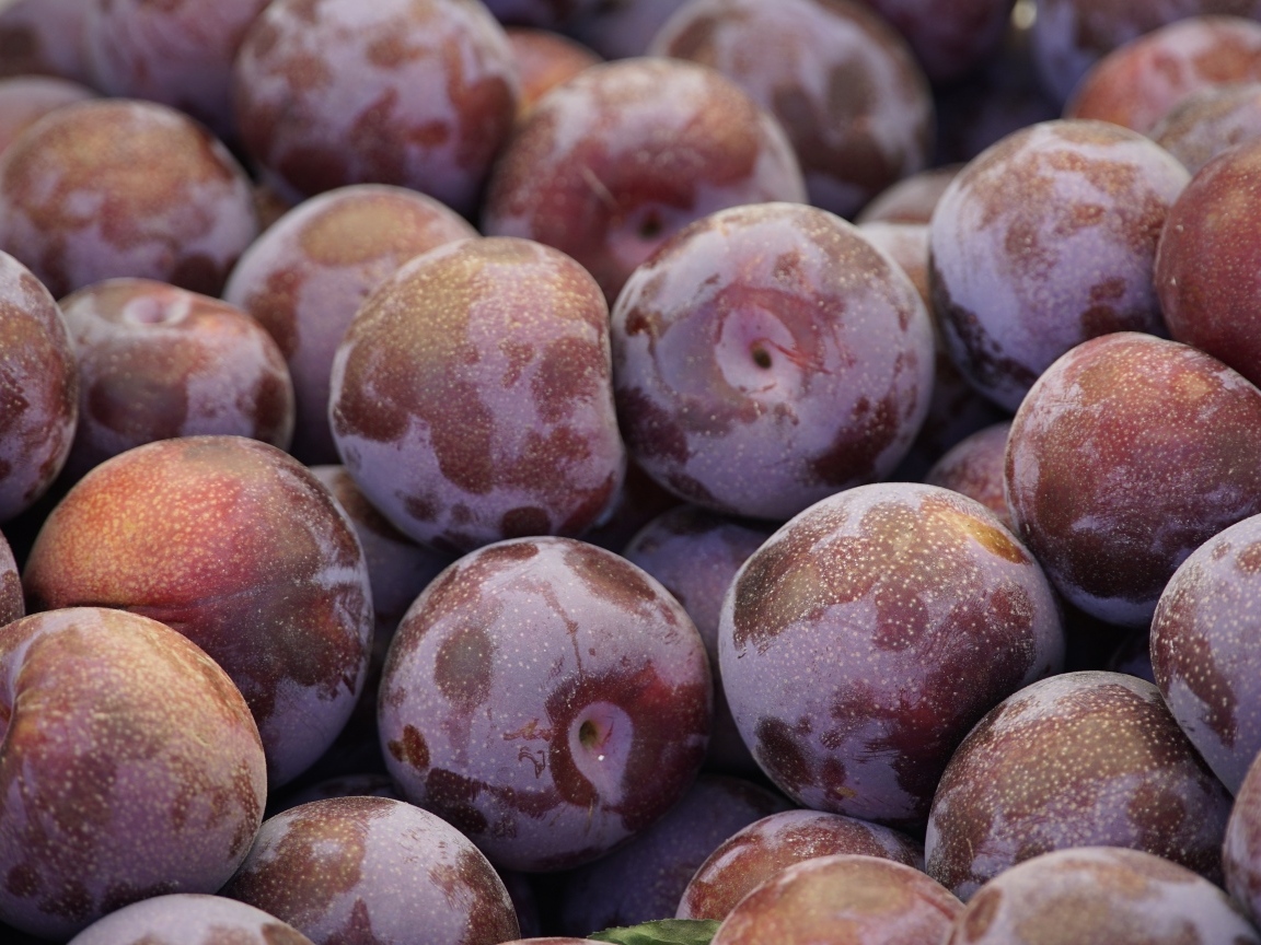 Много розовых слив крупным планом