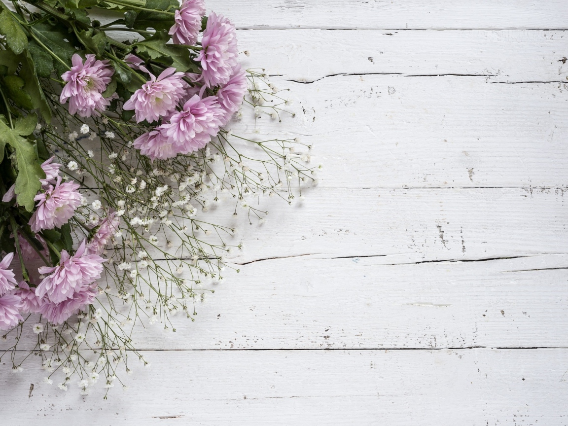 Букет розовых цветов хризантемы и белых цветов гипсофилы