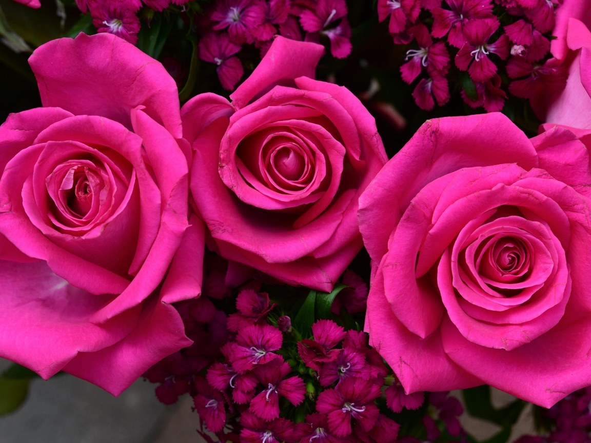 Букет розовых роз с гвоздикой