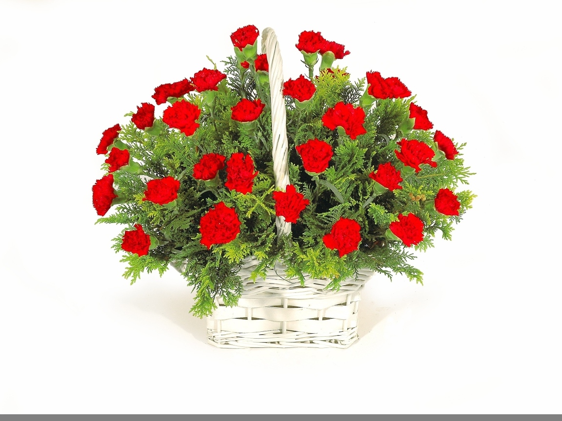 Букет красных гвоздик в корзине на белом фоне