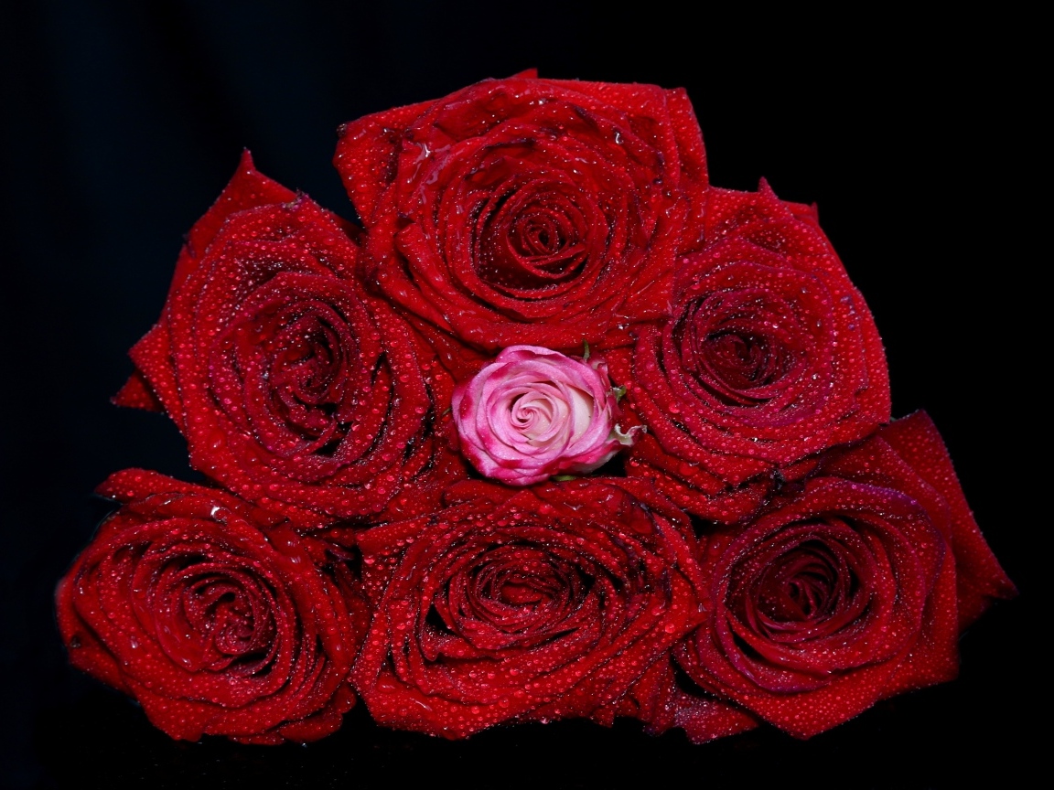 Букет красных роз в каплях воды на черном фоне