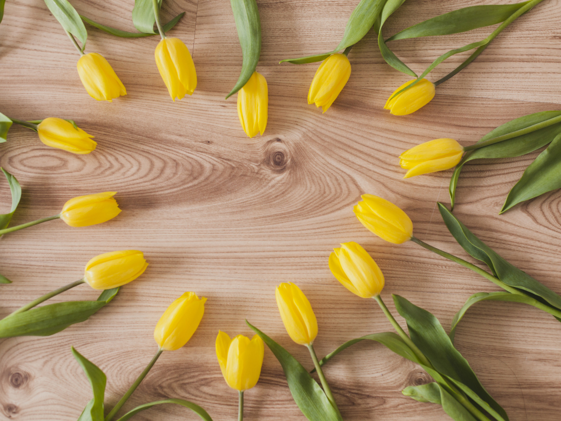 Сердце из желтых тюльпанов на деревянном столе