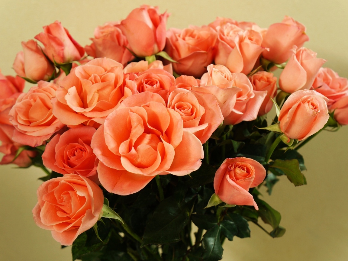 Огромный букет оранжевых роз крупным планом