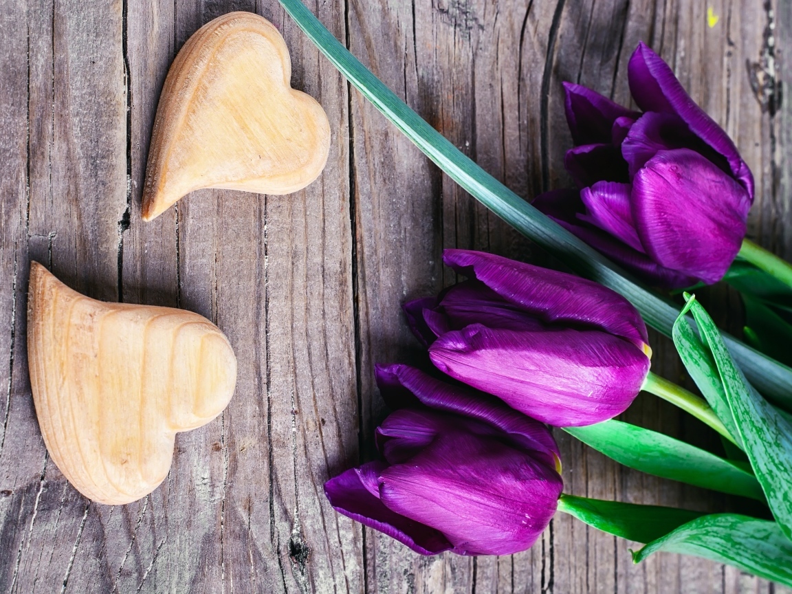 Фиолетовые тюльпаны с деревянными сердечками