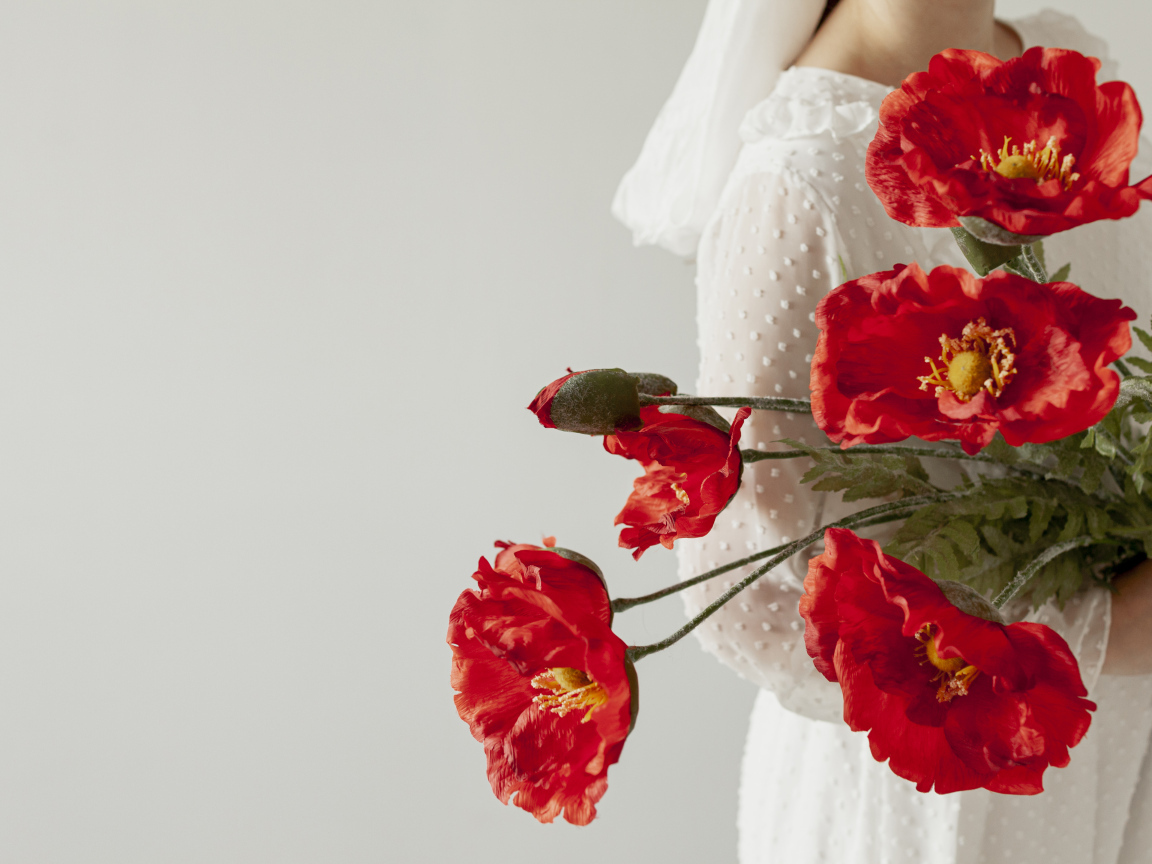 Красные маки в руках у девушки