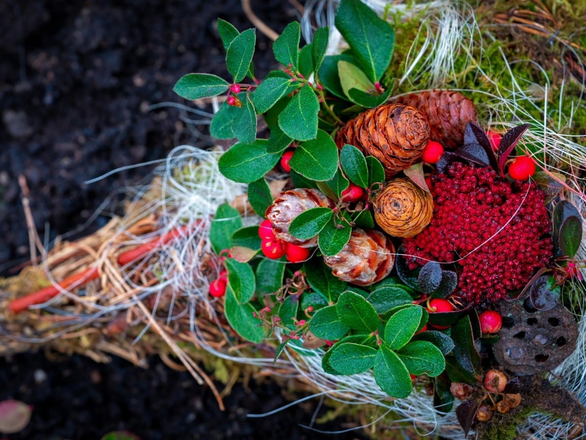 Шишки с ветками и ягодами калины