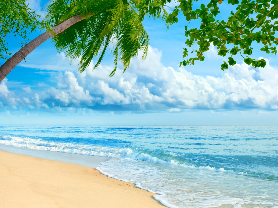 Голубая вода океана омывает песок тропического пляжа