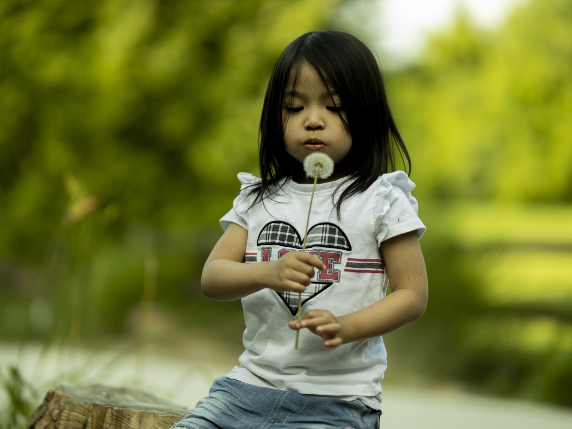 Маленькая девочка азиатка с одуванчиком в руках