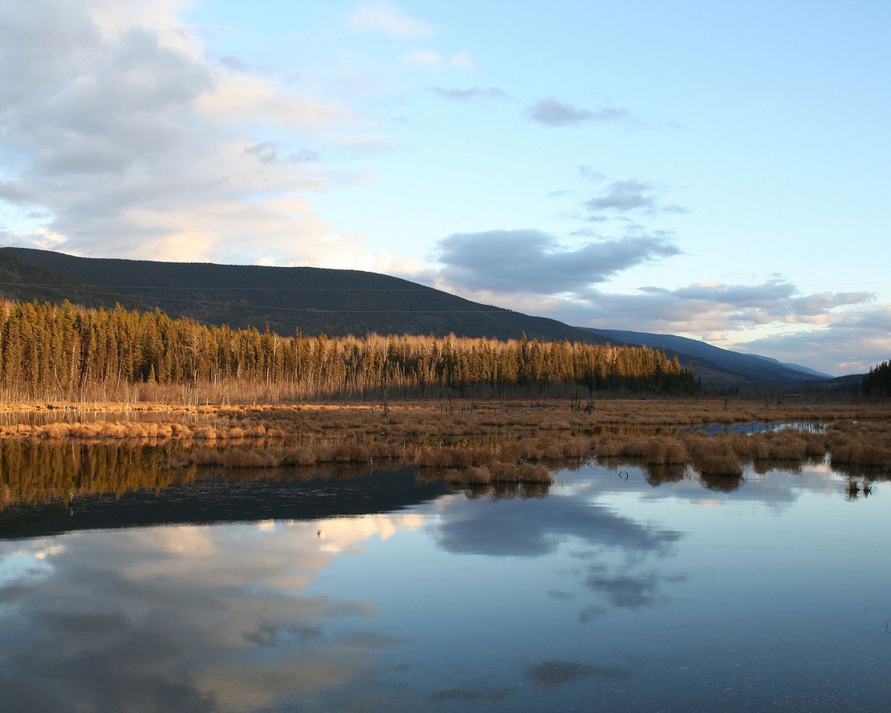 Поздняя осень