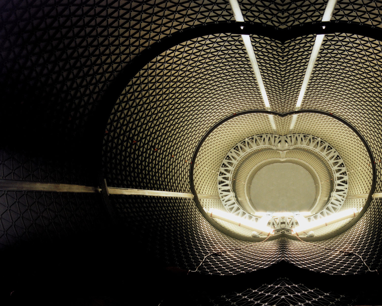 Черные тени