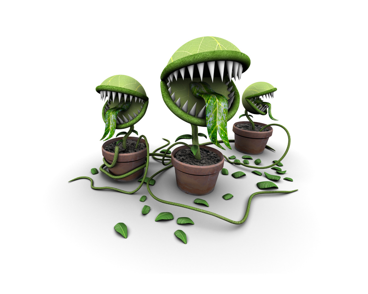 Покорми меня