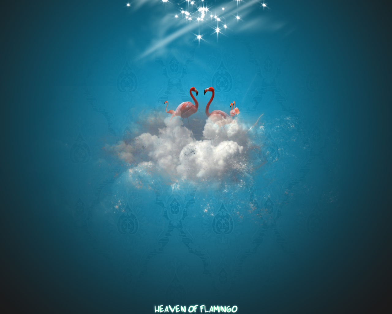 Рай фламинго