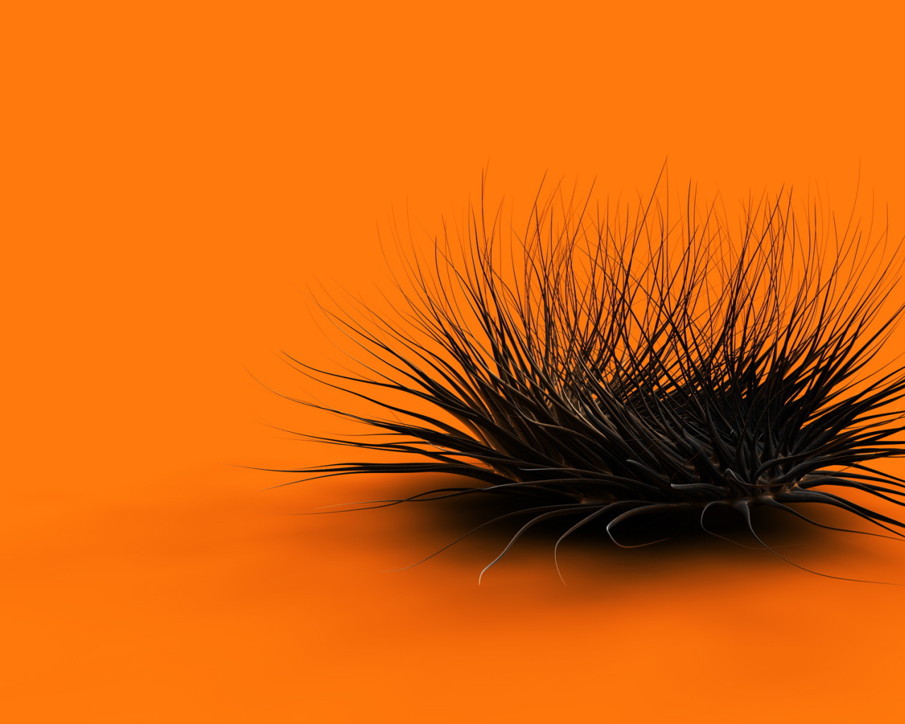 Оранжевый хаос