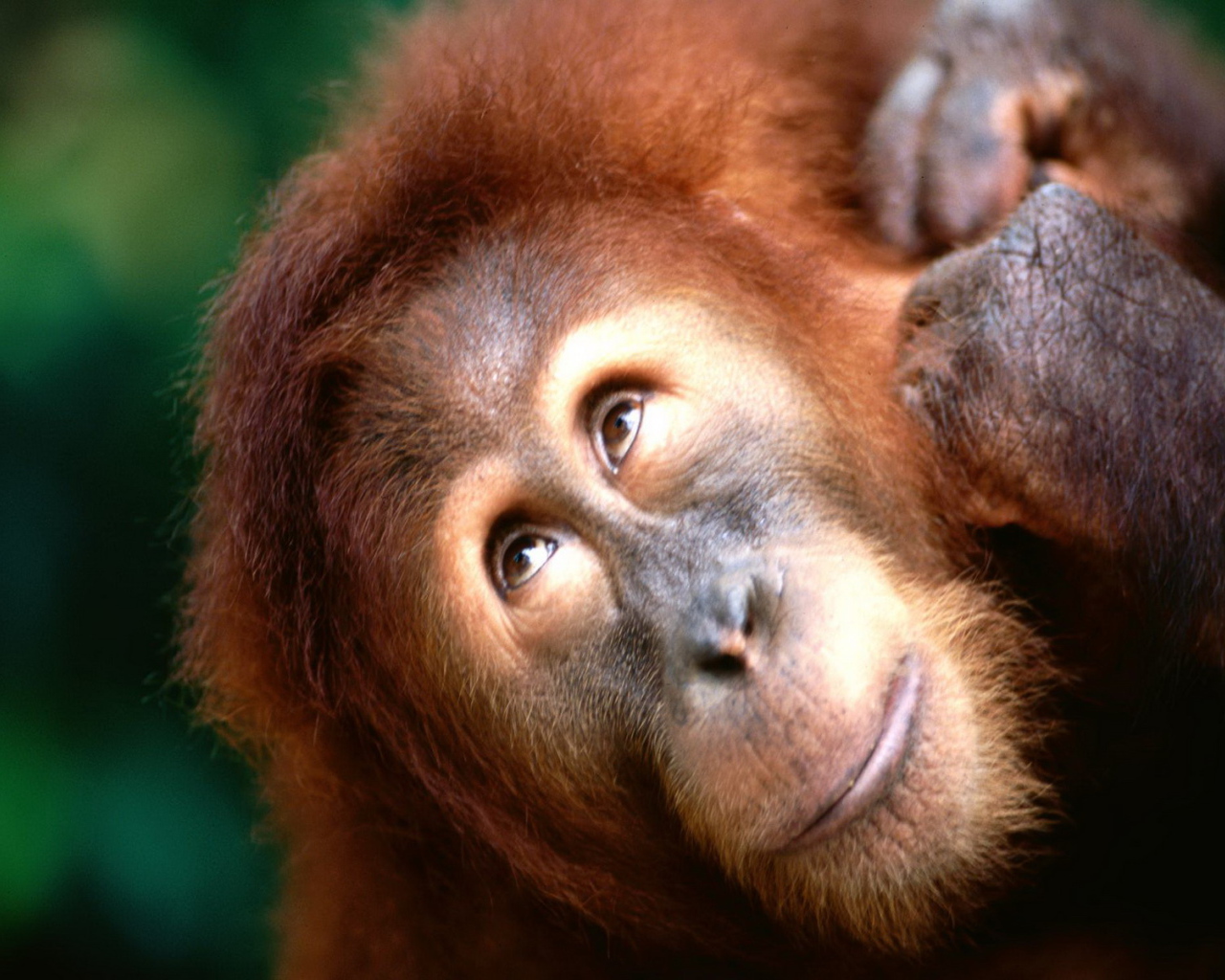 Взгляд вверх