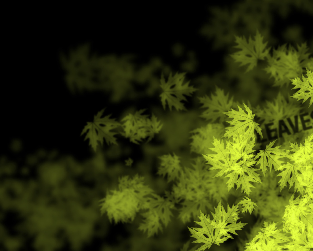 Кленовые листья